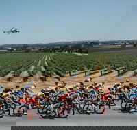 Santos Tour Down Under - Accommodation Asia