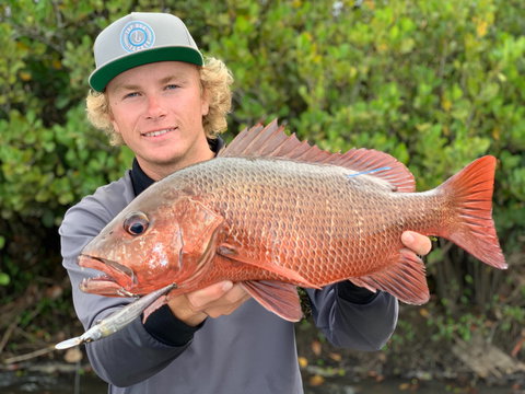 SCF Research And Sustainability Competition - Accommodation Guide 0