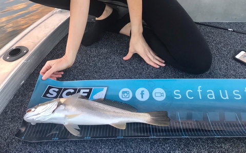 SCF Research And Sustainability Competition - Accommodation Guide 1