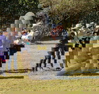 Sculpture for Clyde - Outdoor Exhibition - Accommodation Asia