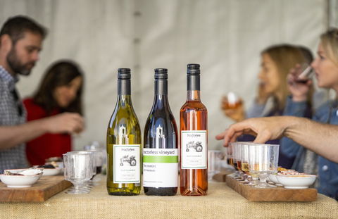 Southern Highlands Food And Wine Festival - Accommodation Asia 2
