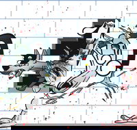 The Pink Floyd Experience - Accommodation Guide