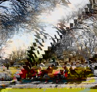 The Orange Society of Model Engineers - Miniature Train Rides - Accommodation Guide