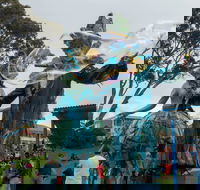 Tulip Festival Wynyard - Accommodation China