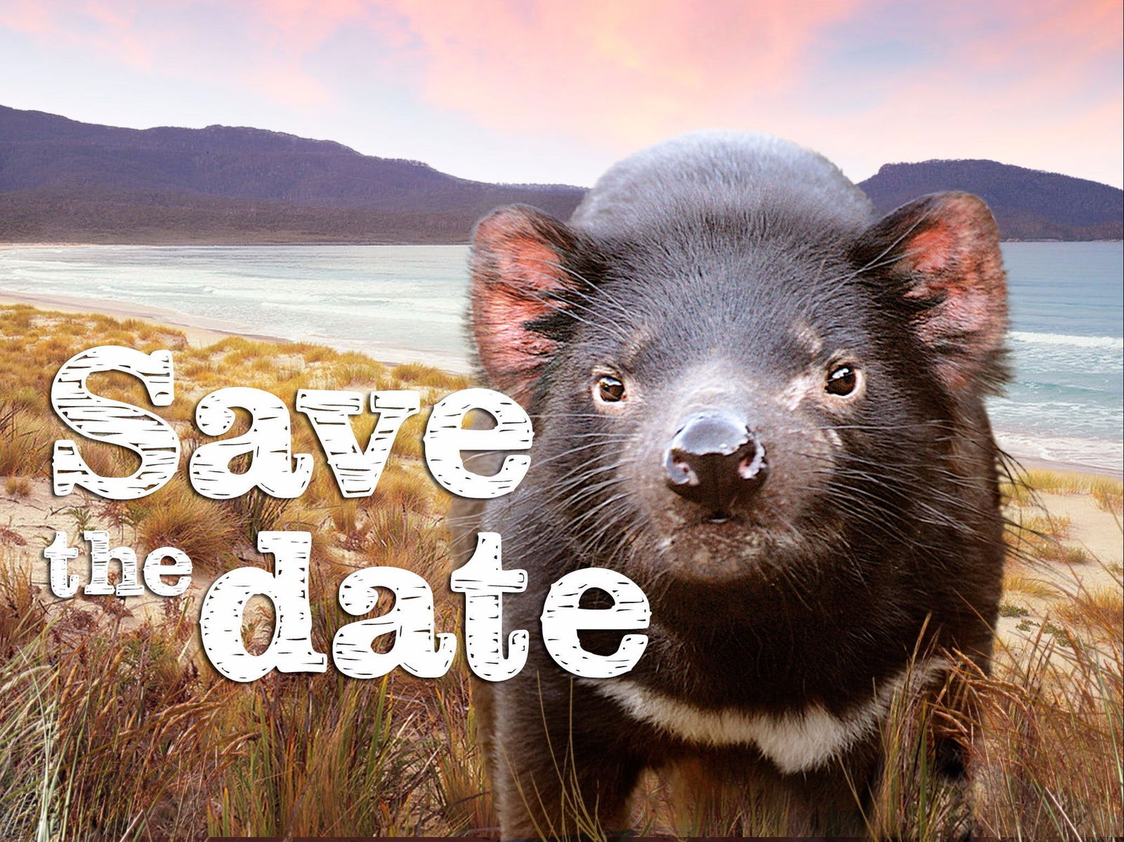 Antill Ponds TAS Accommodation China