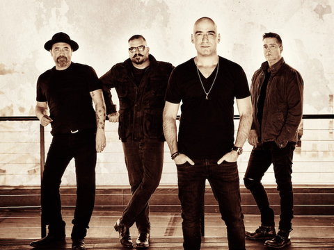 Under The Southern Stars - Gosford - Accommodation Guide 0