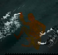 Wolfgangs Magical Musical Circus - Accommodation Guide