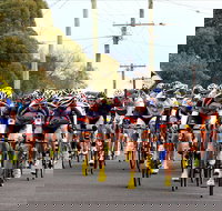 Woody's Murray to Moyne - Accommodation Guide