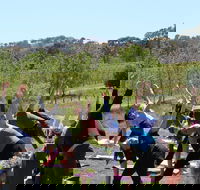 Yoga in the Vines - Accommodation Guide