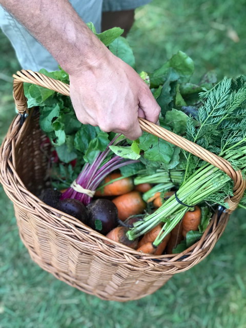 Orange Farmers Market - Accommodation Asia 0