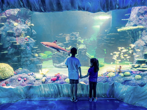 Sydney's Aquarium - Accommodation Guide 1