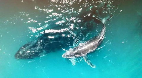 Ningaloo Lodge Exmouth - Accommodation Guide 0
