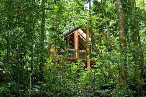 The Canopy Rainforest Treehouses And Wildlife Sanctuary - Accommodation Guide 1