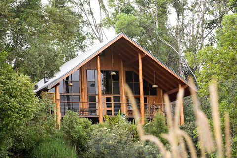 The Canopy Rainforest Treehouses And Wildlife Sanctuary - Accommodation Guide 2