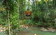 The Canopy Rainforest Treehouses And Wildlife Sanctuary - thumb 0