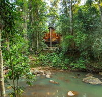 The Canopy Rainforest Treehouses and Wildlife Sanctuary - Accommodation Asia