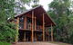 The Canopy Rainforest Treehouses And Wildlife Sanctuary - thumb 3