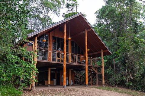The Canopy Rainforest Treehouses And Wildlife Sanctuary - Accommodation Guide 3
