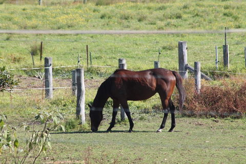 Airport Motel Sir Francis Drake - Accommodation Guide 0