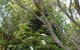 Coachman's Eden - thumb 4