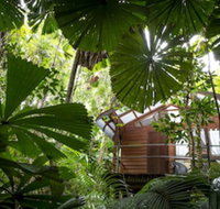 Daintree Wilderness Lodge - Accommodation Guide