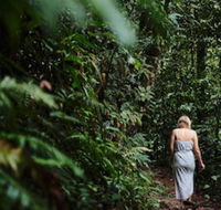 Daintree Ecolodge - Accommodation Asia