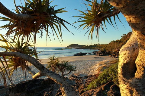 The Beach Cabarita - Accommodation Guide 2