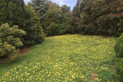 Warragul Views Motor Inn - Accommodation Guide 2