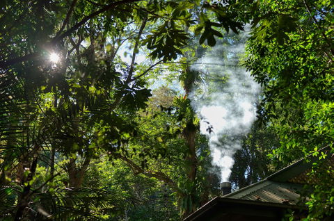Narrows Escape Rainforest Retreat - Accommodation Guide 5