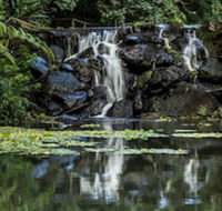 Kondalilla Eco Resort - Accommodation Asia