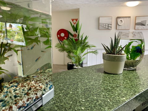 Outrigger Burleigh - Accommodation Asia 6