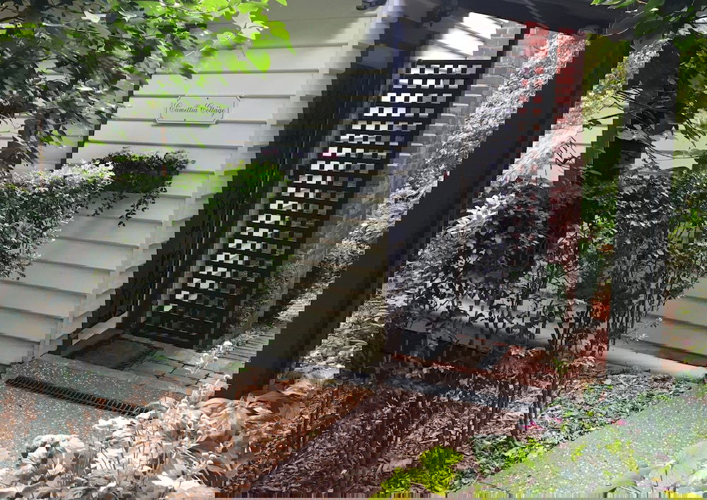 Sassafras VIC Accommodation Guide