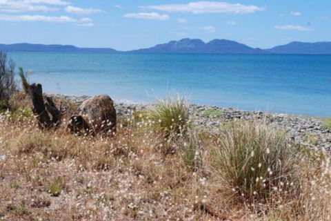 Schouten House - Accommodation Guide 1