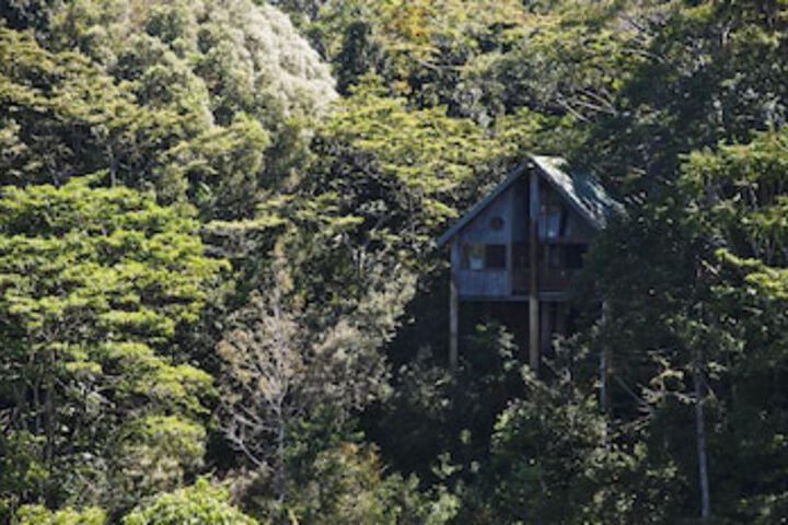 Butchers Creek QLD Accommodation Guide