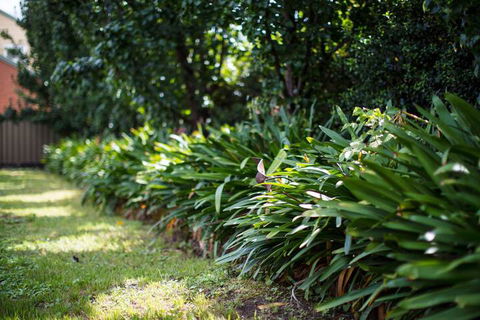 Merivale Motel - Accommodation Asia 7