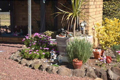 Sunray Motor Inn - Accommodation China 6