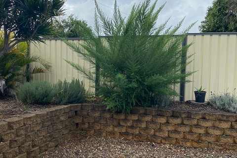 Sunray Motor Inn - Accommodation China 4