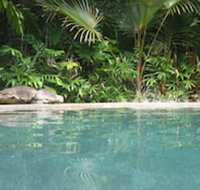Daintree Rainforest Retreat - Accommodation Guide