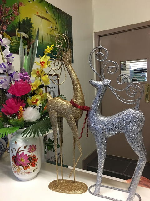 Statesman Motor InnÂ  - Accommodation Asia 5
