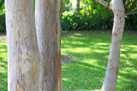 The Retreat Port Stephens - Accommodation Guide 2