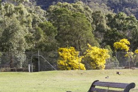 The Grampians Motel & The Views Restaurant - Accommodation China 1