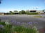 The Barossa Motel - Accommodation Asia 6