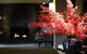 The Lyall Hotel And Spa - thumb 3