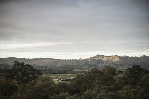 Novotel Barossa Valley Resort - Accommodation Asia 1