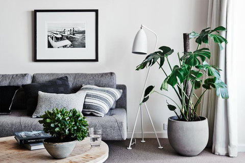 Cumberland Lorne Resort - Accommodation Guide 4