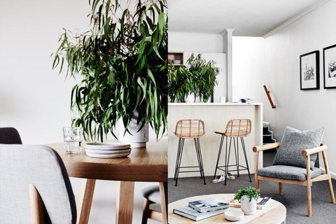 Cumberland Lorne Resort - Accommodation Guide 2