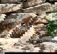 Jenolan Caves House - Accommodation Asia