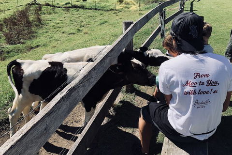 Bodalla Dairy Shed Guest Rooms - Accommodation Asia 5