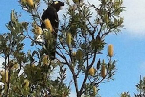 Lake Illawarra B&B - Accommodation Guide 1