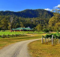 Ascella Organic Wine - Accommodation Asia
